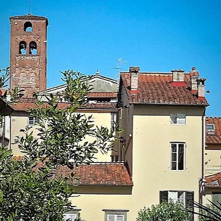 La Butterfly Guest Apartment Lucca Exterior foto