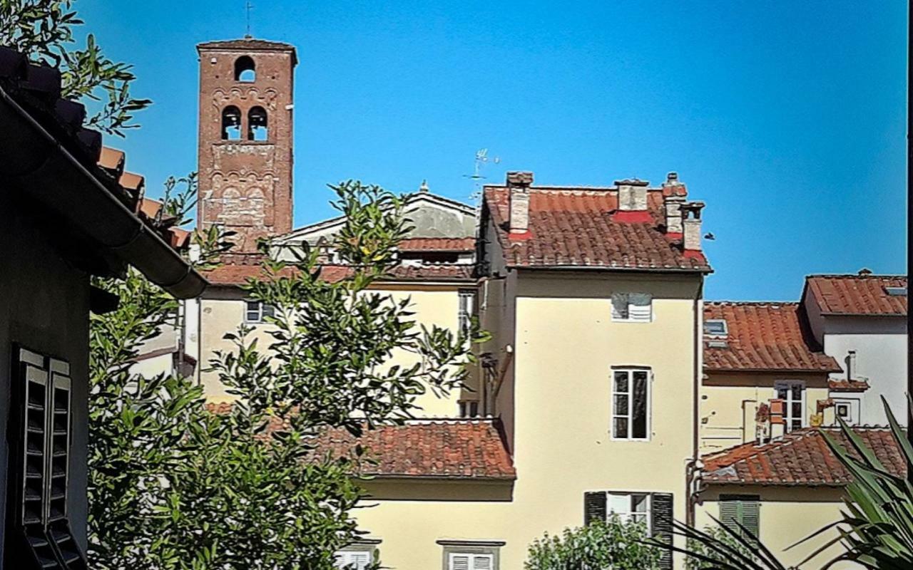 La Butterfly Guest Apartment Lucca Exterior foto